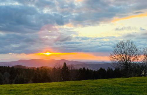 Graceland In the Black Forest - Foto 91