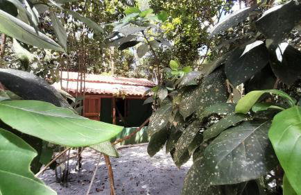 CHaLéS GuiGó, Refugio em meio a natureza - Photo 46