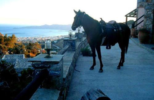 Makronas Apartments - Foto 8