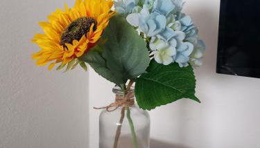 Alto do Sossego - Photo 5