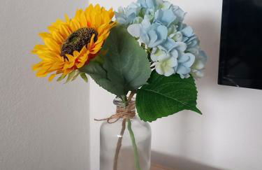 Alto do Sossego - Photo 5