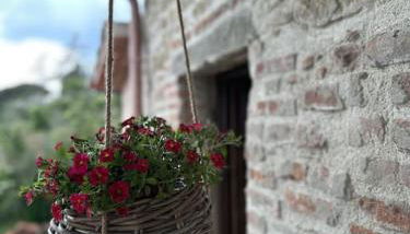 L'oasi delle volpi - Foto 4