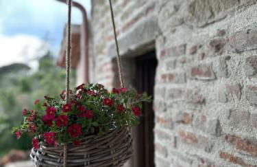 L'oasi delle volpi - Foto 4