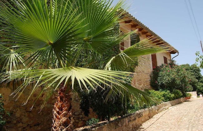 Finca Son Vivot - Photo 58