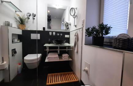 Appartment Fasanenhof Klinikum und Uni nah mit Netflix - Foto 11