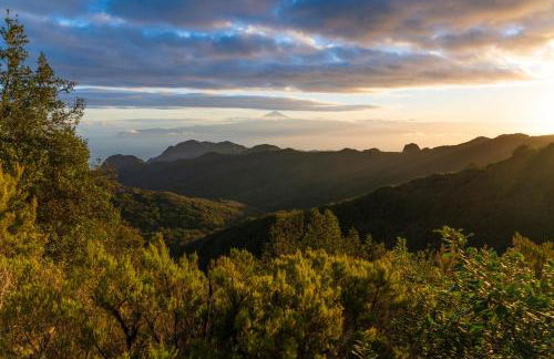 Banana Garden Suites - Foto 26