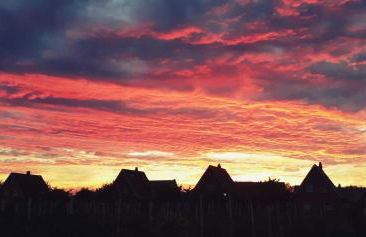 Ferienwohnung Blütenblick - Photo 5