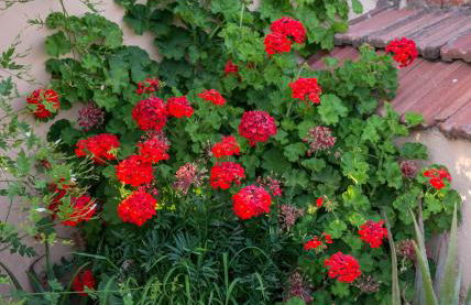 Villa Rouga by Andrian Villas - Foto 14