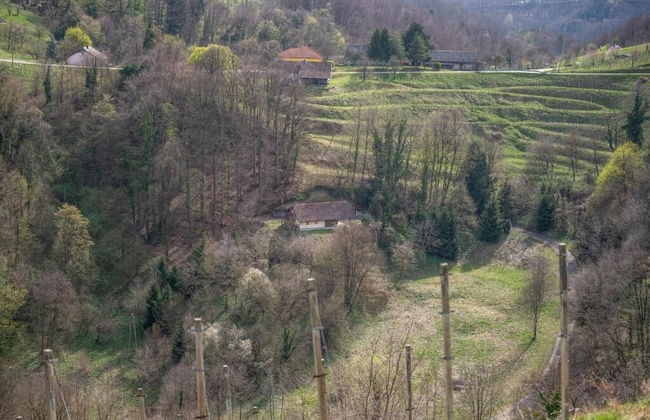 Villa Dolina Miru - Foto 15