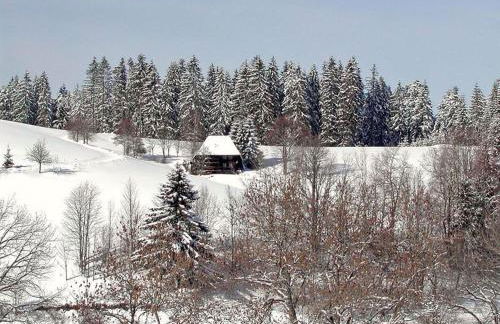 Ferienhütte Biobetrieb Lippenhof - Foto 20