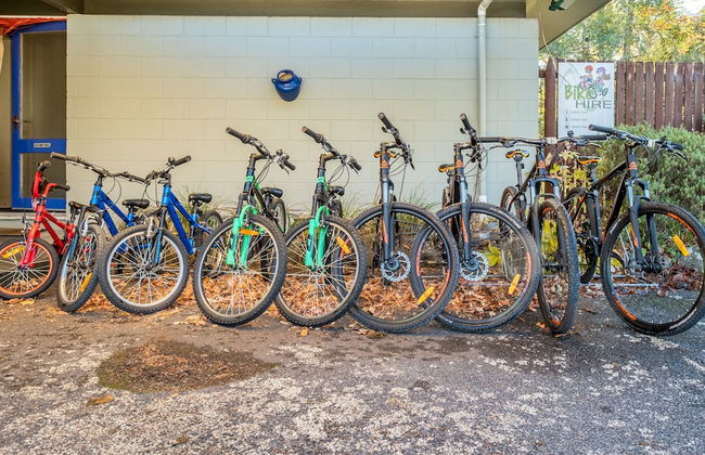 Alpine Adventure Holiday Park - Foto 56