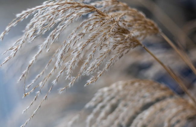 Hoeve Hazegras - Foto 65