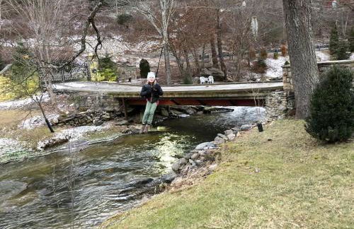 Petting Zoo! Hot Tub, 15 acres, stream & Romance! - Foto 15