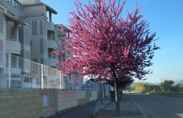 Planta baja Playa Sol 2 - Foto 8