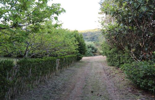 Mar D'Abstração - Photo 57