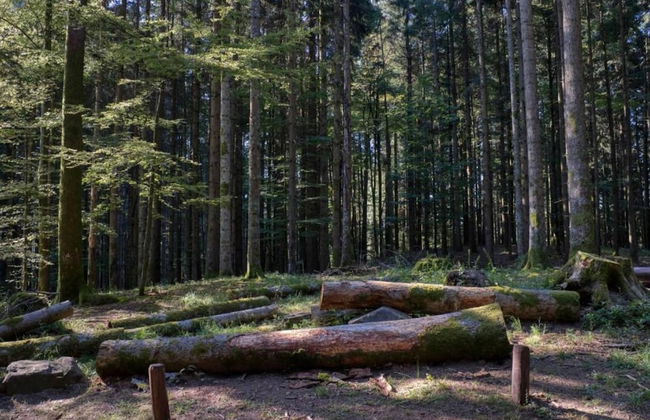 Holiday Home in Ortignano - Foto 29