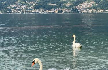 Casa Martina - A quiet home by the lake - Foto 14