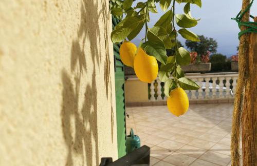 Villa Yucca Istra - Foto 40