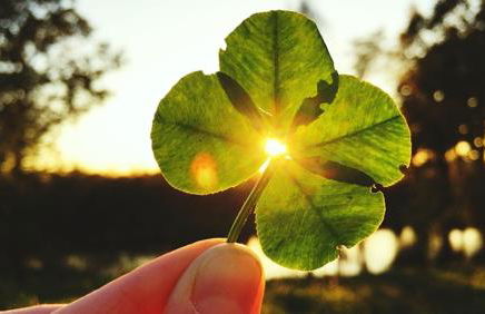 Frisch renovierte Ferienwohnung Abendrot für 2 Personen, zentral gelegen - Foto 15