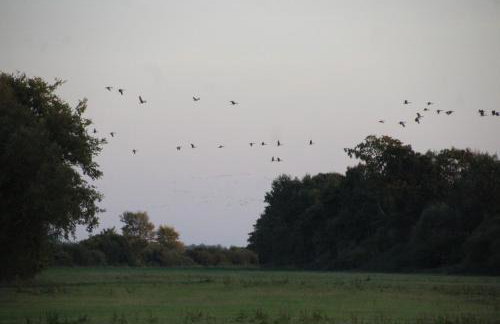 Das kleine, gemütliche Ferienhaus - Foto 31