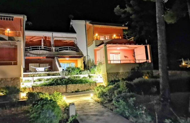 Dino - Gorgeous Garden - SA1 Zavala - Photo 40