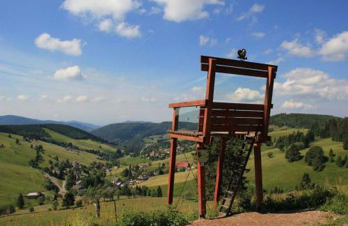 Ferienwohnung-Feldberg-in-der-Pension-Gloecklehof - Foto 14
