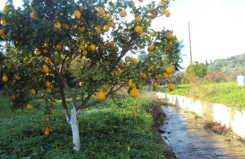 Villa Nostos - Foto 3