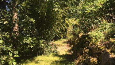 GITES DU MOULIN A VENT - Foto 4