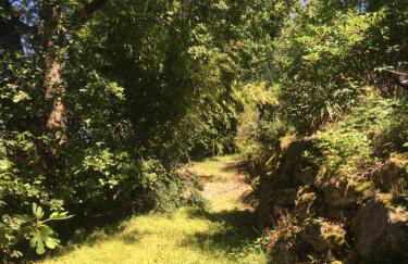 GITES DU MOULIN A VENT - Foto 4