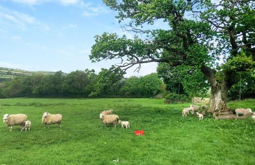 Park Clement - Foto 40