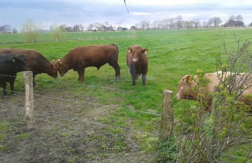 Luxuswohnung, 90 qm, Balkon, beste Lage in Kollmar - Foto 23