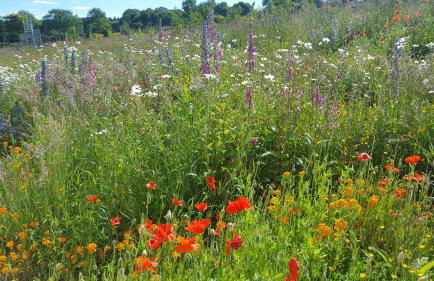 Wester Blackpark Farm - Photo 4