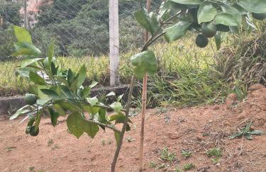 Rancho do andi - Foto 8