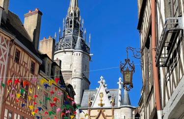 Le Pigeonnier centre historique Auxerre - Foto 59