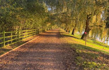 Willow Cottage - Foto 51