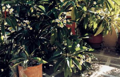 Panormitis House - Foto 32