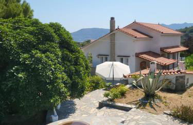 Alexia's resorts - Photo 2