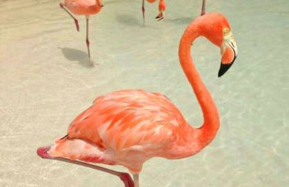 Charmant appartement au calme situé en Camargue - Foto 8