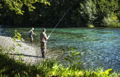 Bel appartement T2 refait à neuf avec piscine couverte de juin à fin septembre, près des stations de ski avec navette et draps et serviettes compris - Foto 35