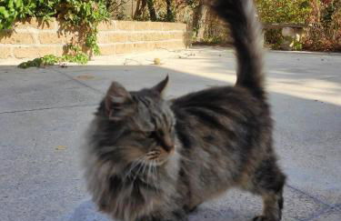 GArt House Holiday Home - Foto 27