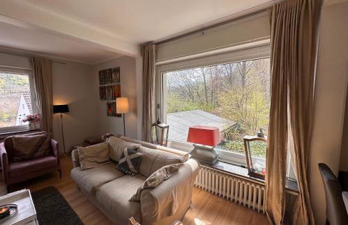 VILLA WALDHAUS WILLINGEN SAUERLAND - Charming Villa near Forest for 12 Guests with Huge Garden - Nearby Winter Sports Area with Ski Slope - Hiking and Nature - Foto 29