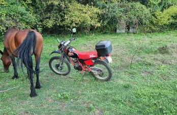 VILLA RIVIERE - Foto 22