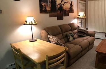 Cozy 2 BR Mountain View - walk to resort - Foto 19