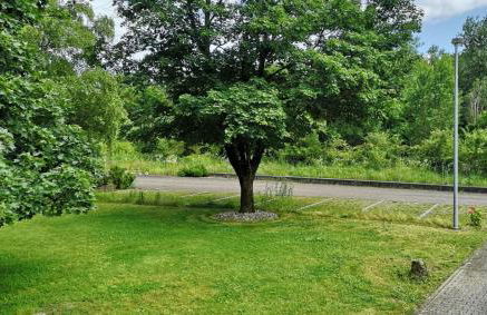 Niederwald - Foto 18