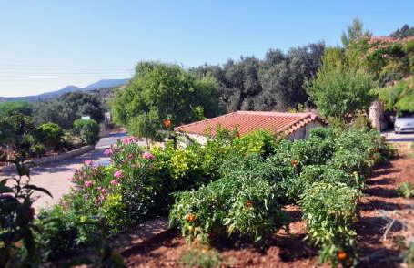 Panorama Apartments updated with infinity pool - Foto 39