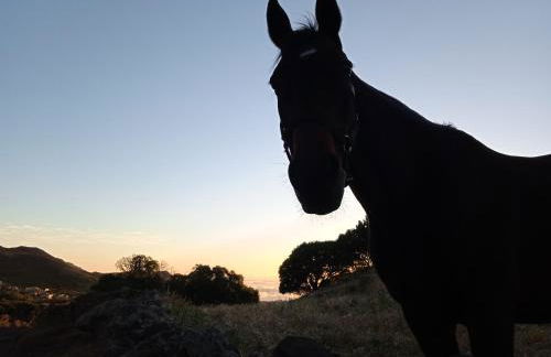 Casa Ben Abora - Foto 16