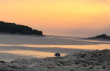 Apartments Zvijezda - Foto 16