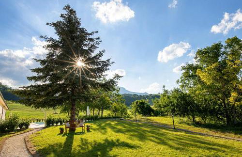 Agriturismo Podere Coldifico - Foto 21