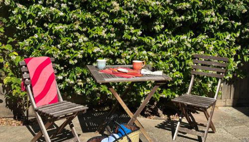 Suzetta Cottage - Photo 3