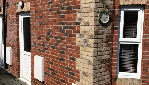 The Custards - Foto 2